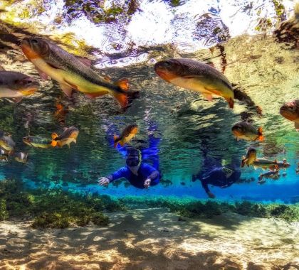 Passeios de ecoturismo em Jardim são finalistas no Prêmio Nacional do Turismo