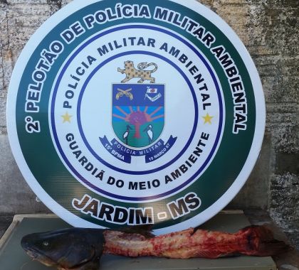 PMA de Jardim prende e autua dois mecânicos por pesca em piracema