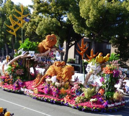 Carro alegórico com mico-leão-dourado vence a Rose Parade 2020 na Califórnia