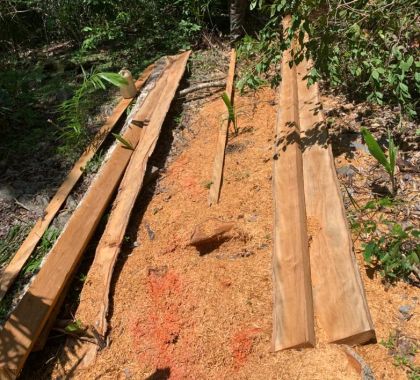 PMA de Miranda autua fazendeiro por exploração de madeira em Bodoquena