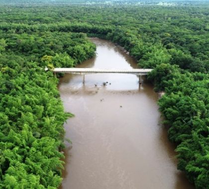 Laudo do Imasul conclui ser “fenômeno natural” o material orgânico verificado no rio Miranda