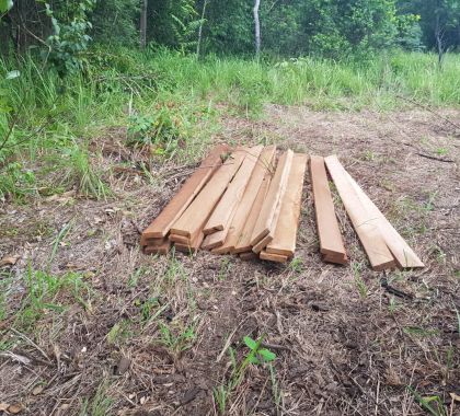 PMA prende e autua cinco pessoas por exploração ilegal de madeira em área protegida de Terenos