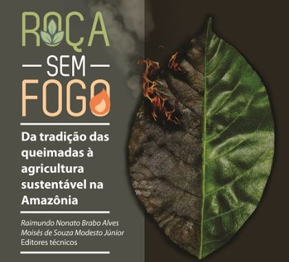 Embrapa promove agricultura que dispensa uso do fogo na Amazônia