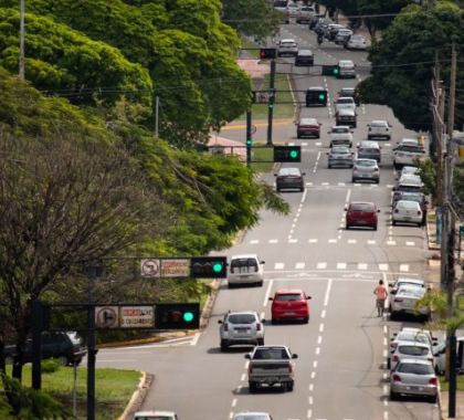 Campo Grande ganha prêmio internacional de arborização urbana