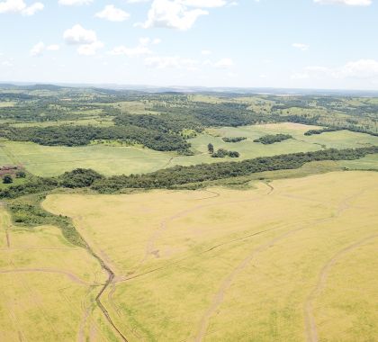 Fazendeiro de Guia Lopes é multado por desmatamento ilegal de mais de 40 hectares