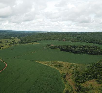 Área de 40 hectares é desmatada para plantio de lavoura e proprietário é autuado em Guia Lopes da Laguna