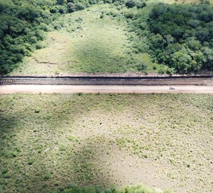 Fazendeiro é multado por construir estrada em área protegida para abrir caminho até sua fazenda