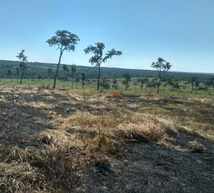 Fazendeiro é multado por degradação ambiental em Bonito