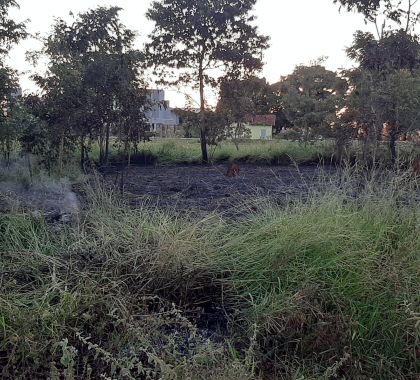 Mulher é autuada por provocar incêndio em terrenos vizinhos em Jardim