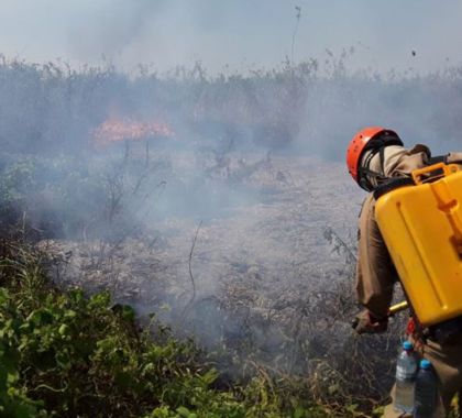 Operação Pantanal elimina maioria dos focos de calor na região