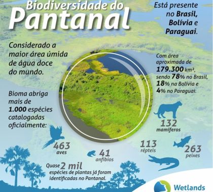 ONG lança campanha para homenagear Pantanal