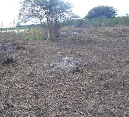 Agricultor de Corumbá é autuado por incendiar área protegida do canal do Tamengo