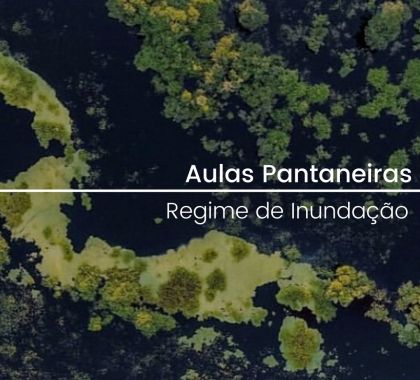 Série de aulas on-line sobre o bioma pantaneiro são disponibilizadas pelo Documenta Pantanal