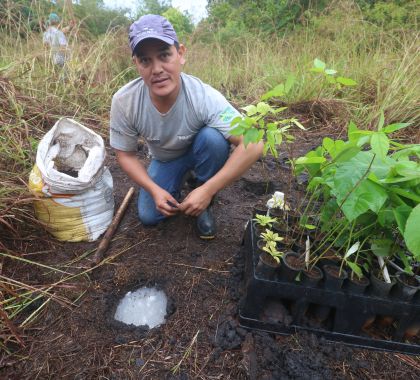 Colaboradores de atrativo realizam plantio de mudas em fazenda de Bonito