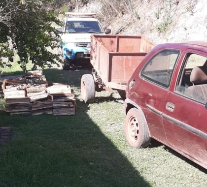 Homem é autuado por exploração e transporte ilegal de madeira em Corumbá 