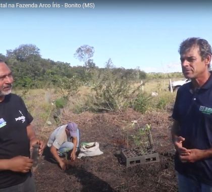 Fazenda em Bonito recebe nova etapa de ação de recomposição florestal