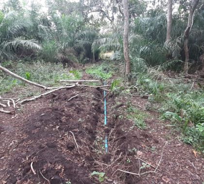 Proprietário rural é multado em R$ 5 mil por infrações ambientais em Nioaque (MS)