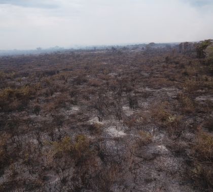 Fazendeiro é multado por incêndio em parte das matas ciliares do rio Paraguai no Pantanal