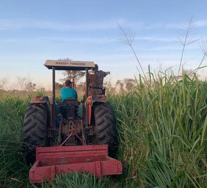 Empresa agropecuária de Miranda é autuada em mais de R$ 17 mil por desmatamento ilegal no Pantanal