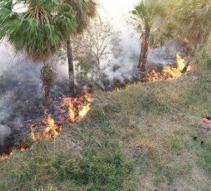 Bombeiros e brigadistas combatem fogo que castiga o Pantanal, que já registra 2 mil focos