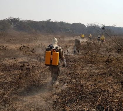 Queimadas castigam Pantanal e focos de calor quase dobram no mês de julho