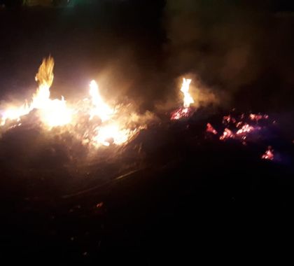 Mulher é flagrada colocando fogo em vegetação à margem do rio Paraguai no Pantanal