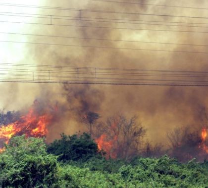 Estado de emergência é decretado no Pantanal devido à incêndios