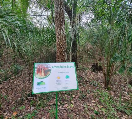 RPPN em Bonito ganha placas de identificação de árvores