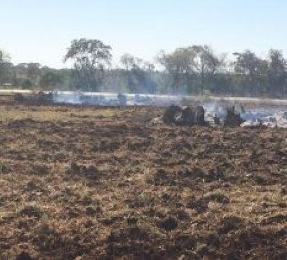 Jovem é multado por incêndio em partes de árvores derrubadas em sua propriedade em Bonito