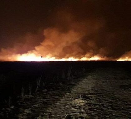 Bombeiros combatem incêndios no Pantanal do Nabileque