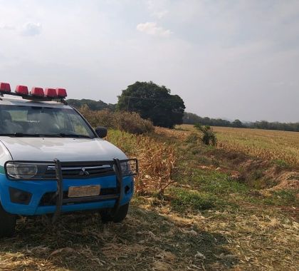 Fazendeiro é multado por construir drenos ilegalmente em área de várzea em Bodoquena