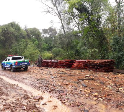 Fazendeiro é multado em R$ 4,8 mil por armazenamento e exploração de madeira ilegal