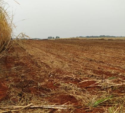 Dono de plantação de cana é multado em R$ 132 mil por incêndio em lavoura