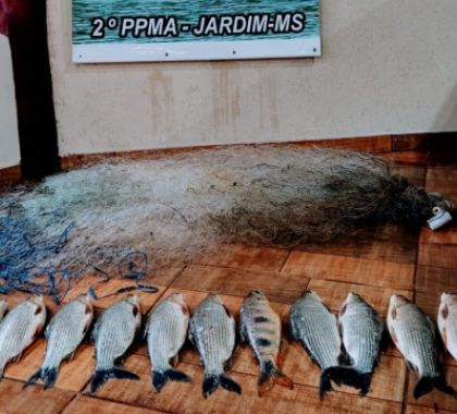 Dois pescadores são presos por pesca e captura de pescado ilegal no Rio Miranda