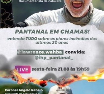 IHP realiza live sobre os incêndios no Pantanal