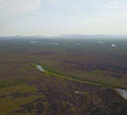 Força-tarefa controla queimadas no Pantanal, mas alta temperatura e baixa umidade do ar preocupam