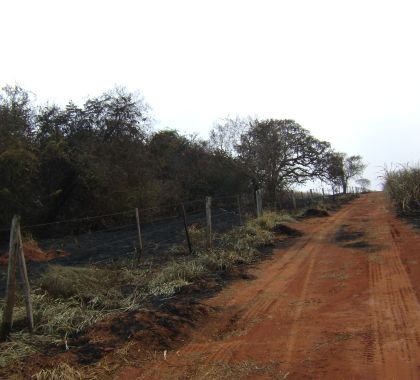 Produtor rural é multado em R$ 666 mil por incêndio em área de plantio de cana no MS