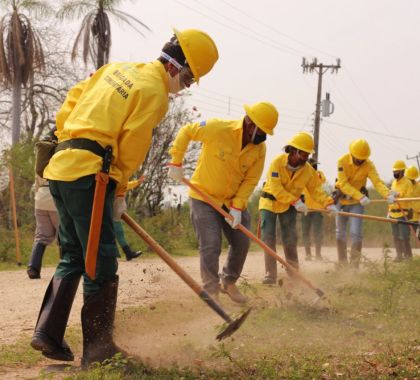 Governo quer montar brigada permanente no Pantanal