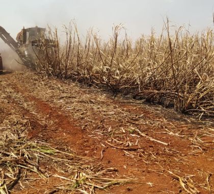 Incêndio em lavoura de cana gera multa de R$ 155 mil para usina em MS