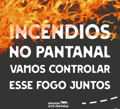 Campanha arrecada recursos para combater incêndios no Pantanal