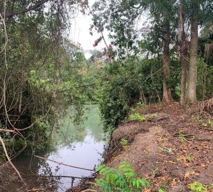 Engenheiro é multado em R$ 50 mil por degradação da mata ciliar do rio Salobra