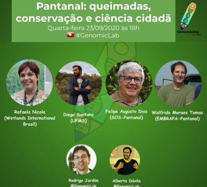 Diretora da Wetlands International Brasil participa de live sobre incêndios no Pantanal