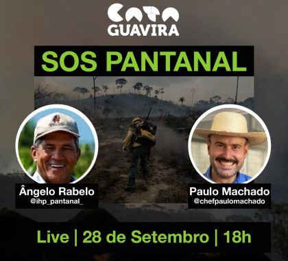 Cata Guavira realiza live sobre as queimadas no Pantanal