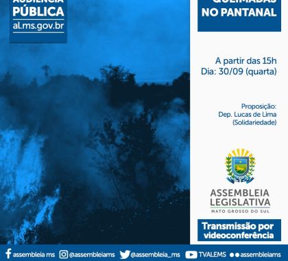 Audiência pública irá debater queimadas na região do Pantanal