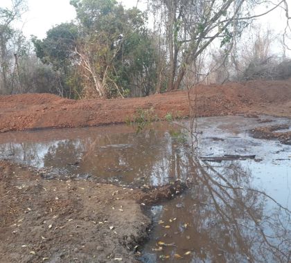 Fazendeiro é multado em R$ 7 mil por desmatamento de matas ciliares em São Gabriel do Oeste