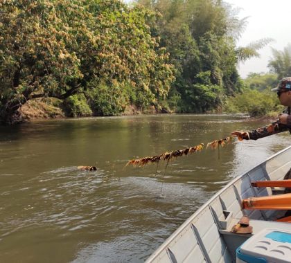 Turista do Paraná é multado por pesca ilegal em Jardim (MS)