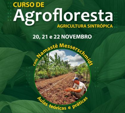 Curso de Agroflorestas é realizado durante Cata Guavira 2020