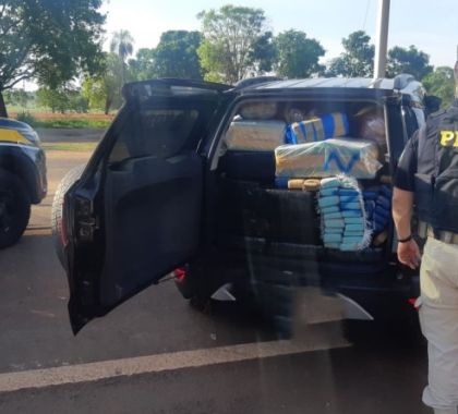 PRF apreende 908 kg de maconha em Guia Lopes da Laguna