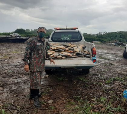 Cinco pescadores são multados em R$ 35 mil por pesca predatória em Corumbá