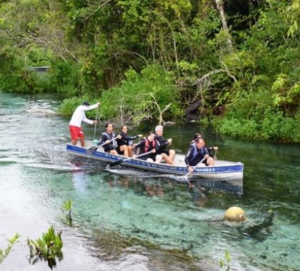 Segundo encontro Diálogos Pantanal + Sustentável acontece nesta quinta-feira